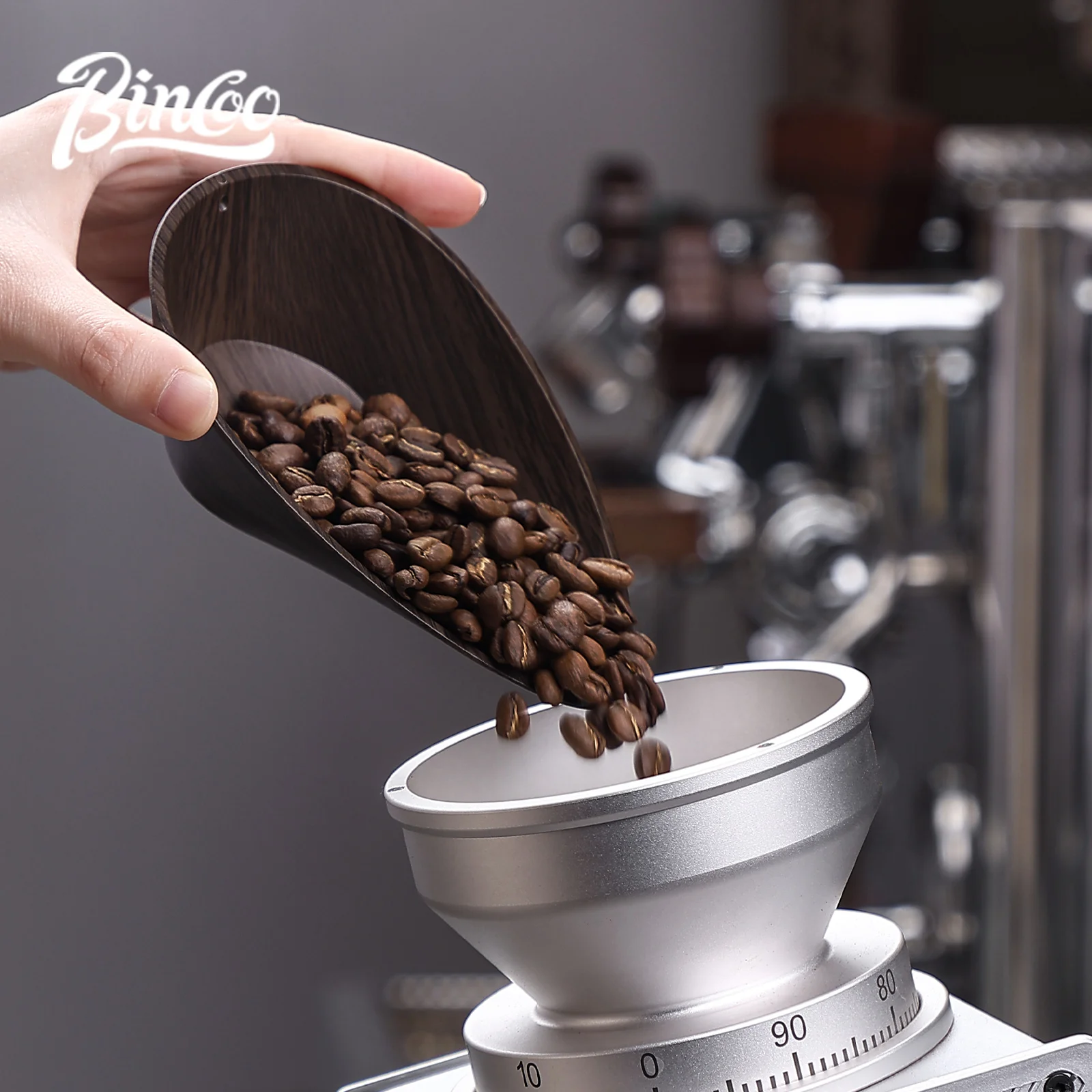 BINCOO Coffee Beans Dose Trays - Coffee Tea Bean บทวิจารณ์และราคา
