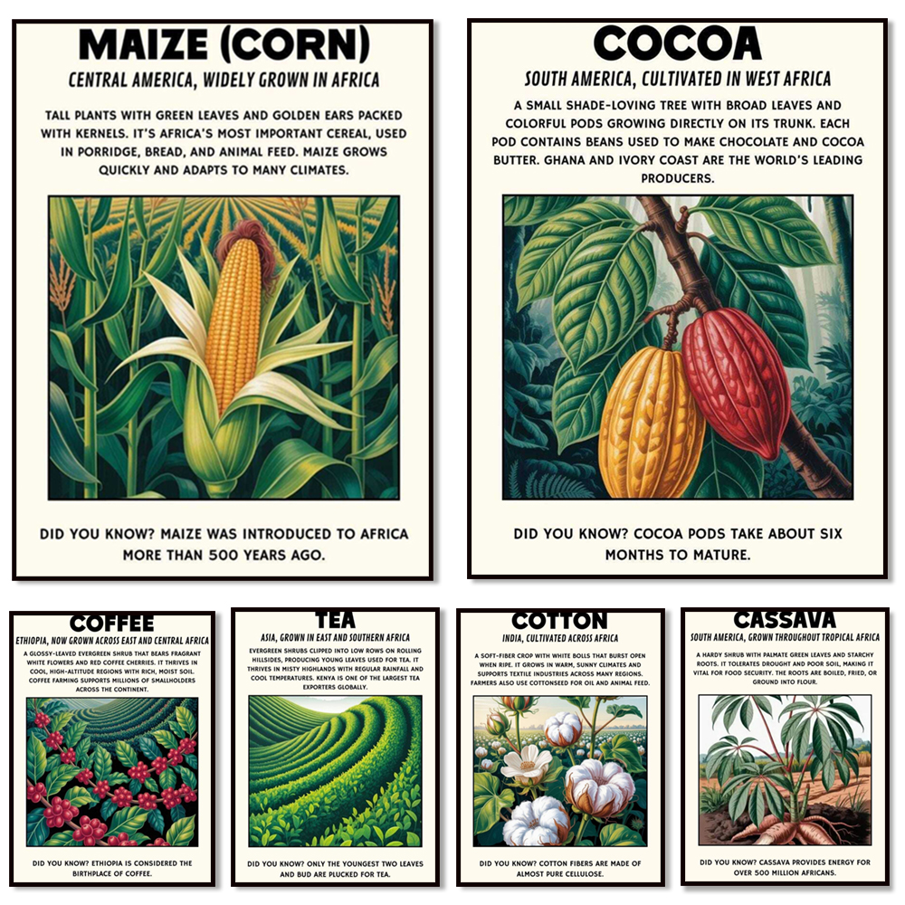 African plant prints, cassava, - Coffee Tea Poster บทวิจารณ์และราคา